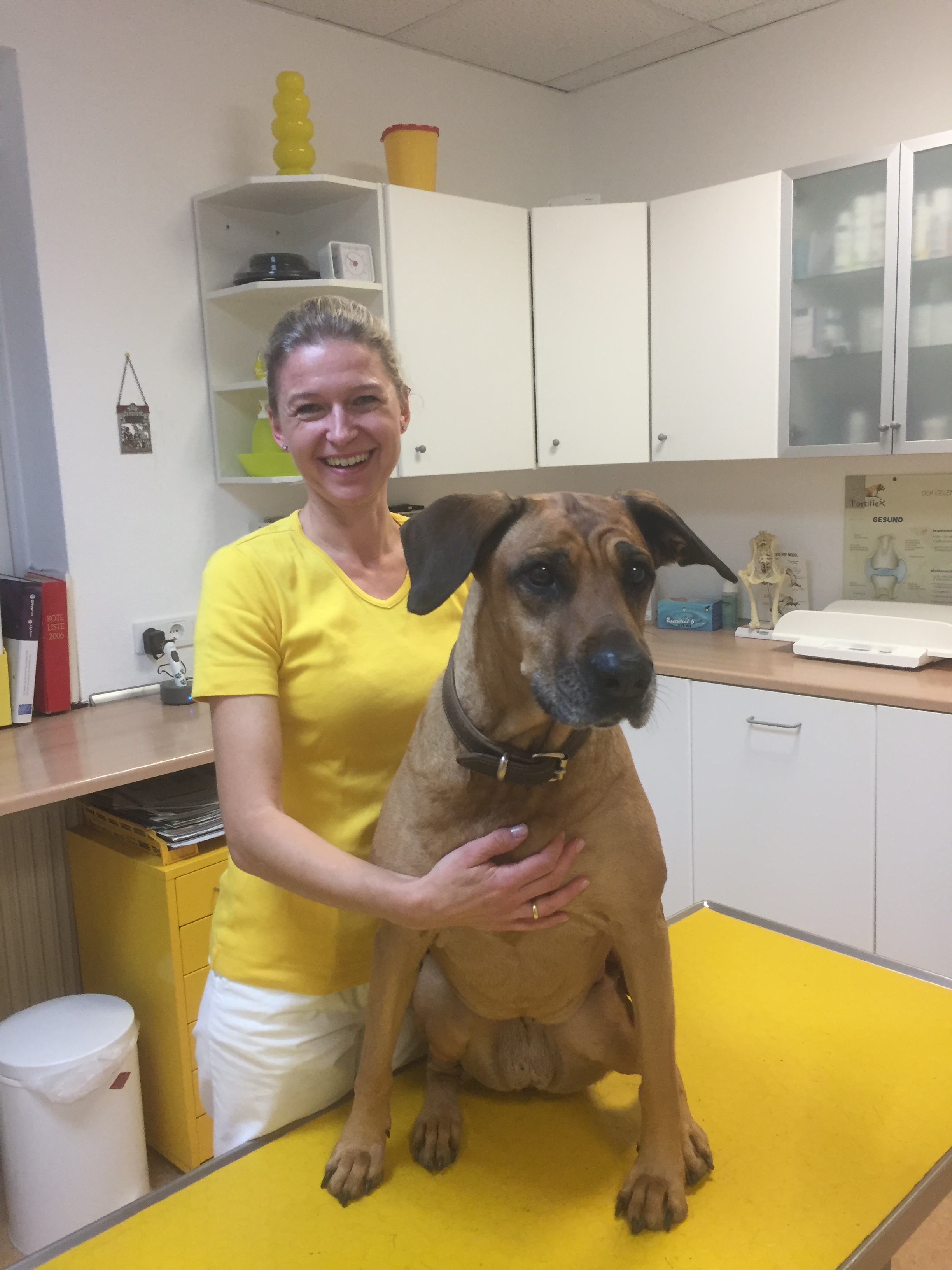 Dr. Med. Vet. Sabine Maßhoff Tierärztin Dr. Sabine Ruppert | Ihre Tierarztpraxis in Frankfurt